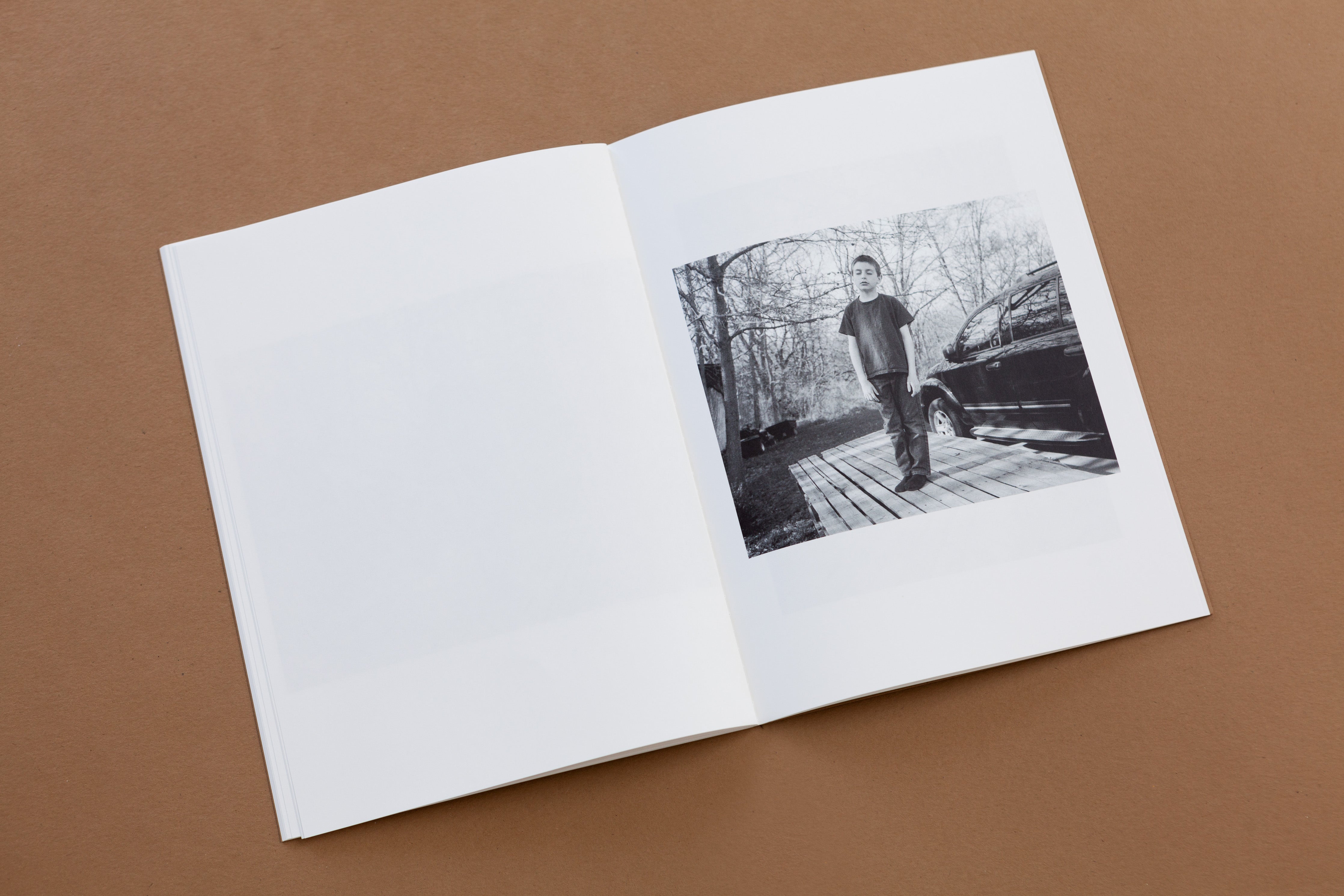 TIS02: The king of the birds / Tim Carpenter