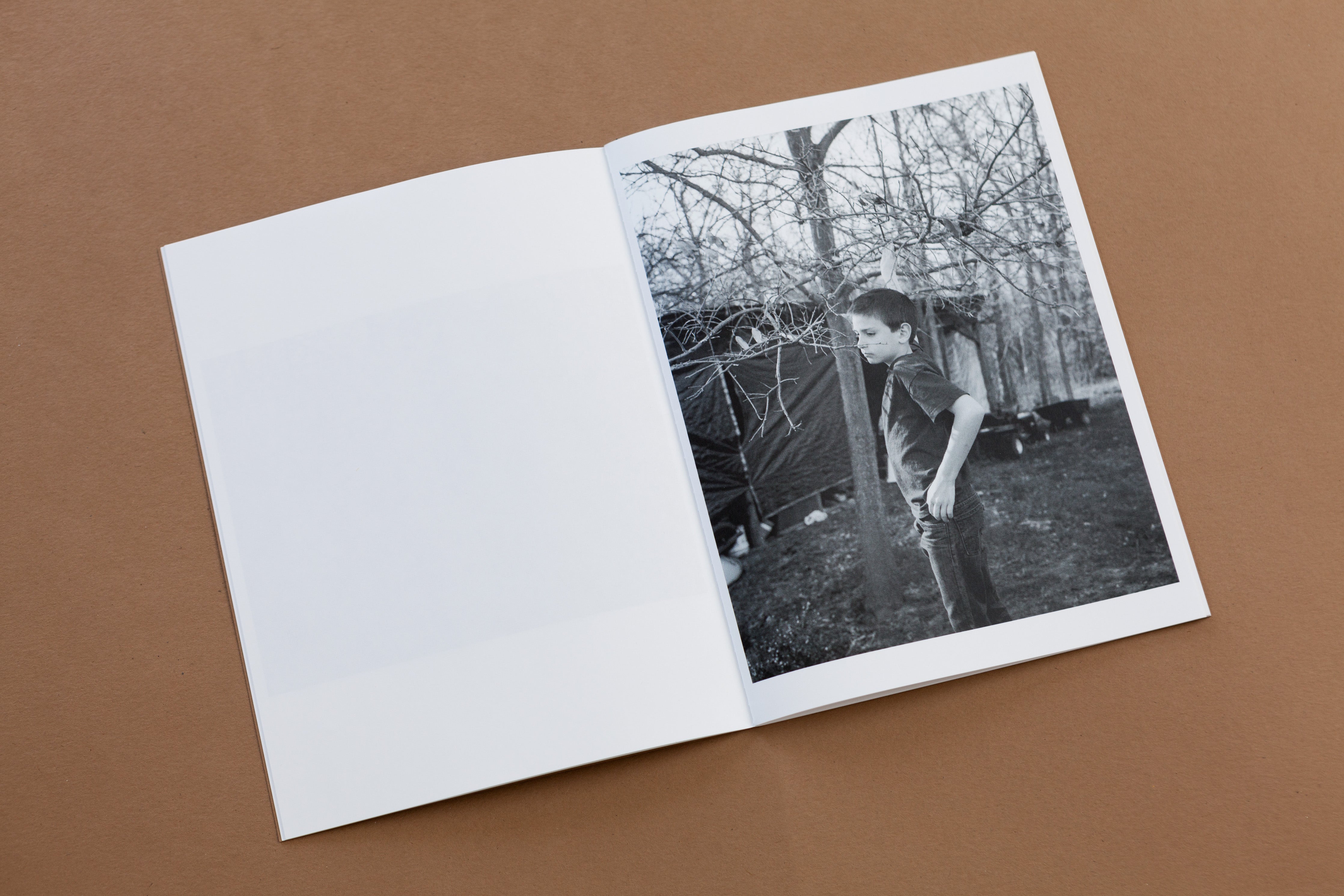 TIS02: The king of the birds / Tim Carpenter