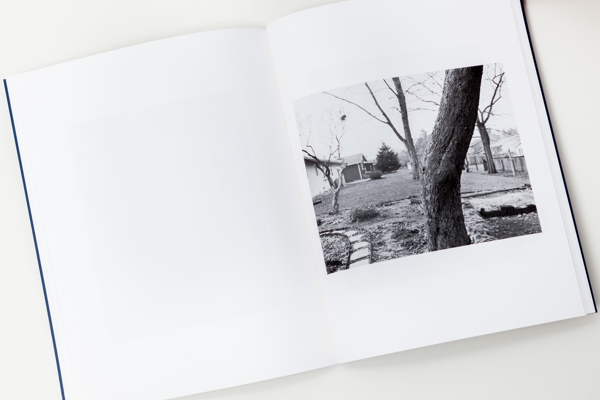 Tim Carpenter: A house and a tree / In a book whose title says it all, Tim Carpenter shares an ongoing fascination with making pictures of one house and one tree.