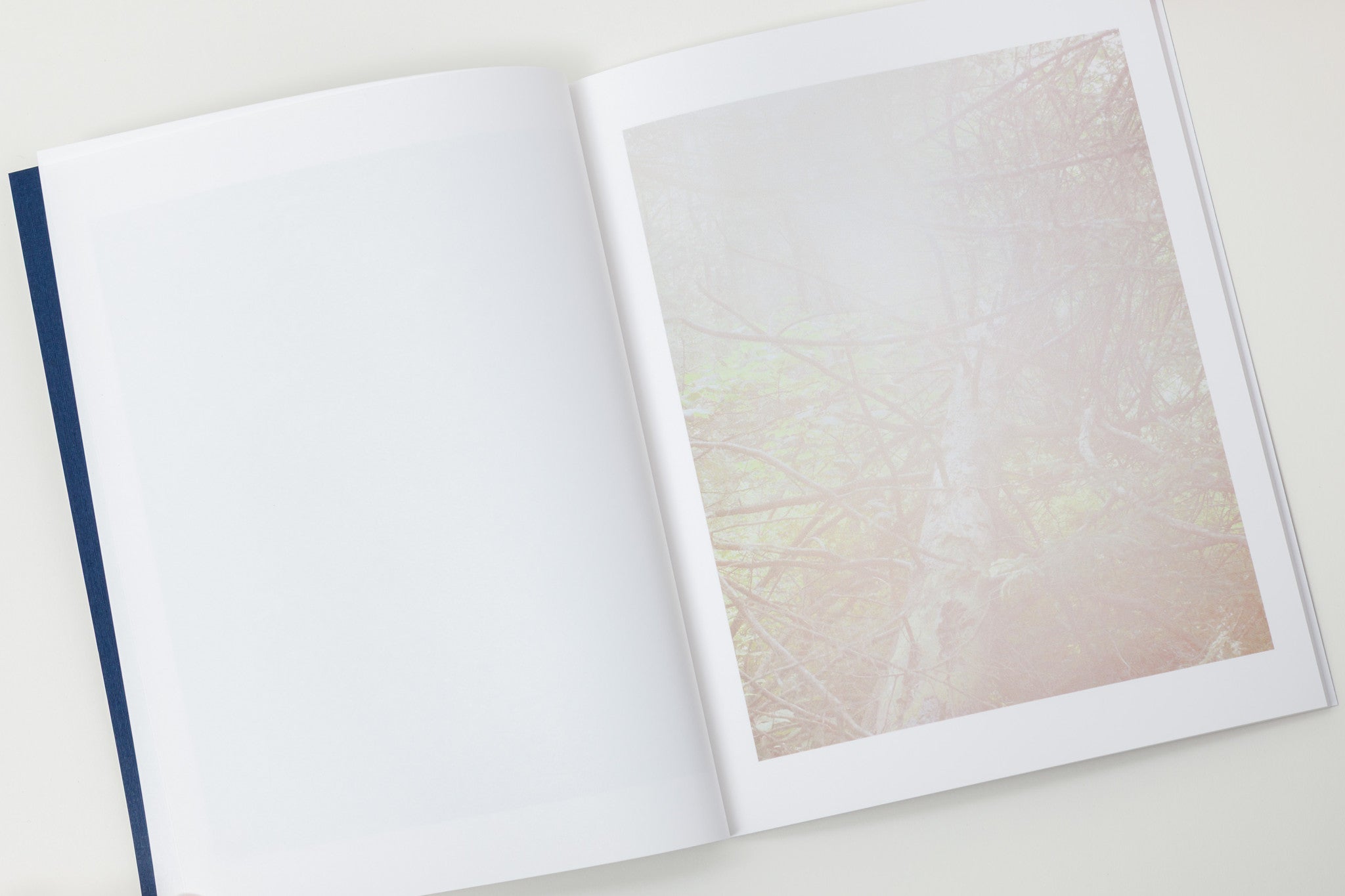 J Carrier: / The woods of Vermont inspired J Carrier’s clear-eyed interpretation of the idyll.