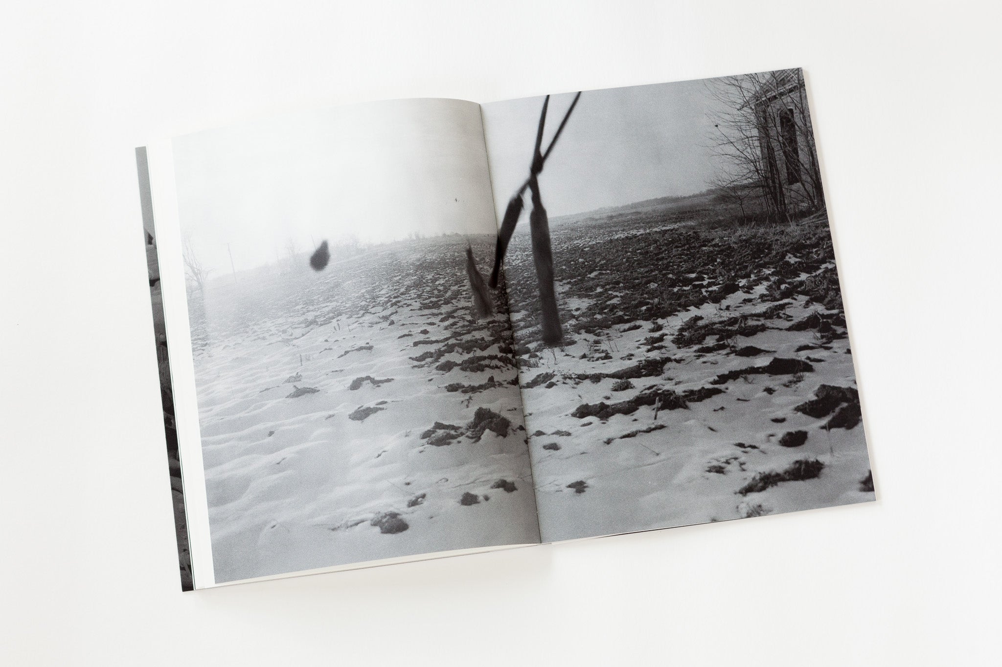 township & bement grain / Adrianna Ault, Tim Carpenter, Raymond Meeks, Brad Zellar