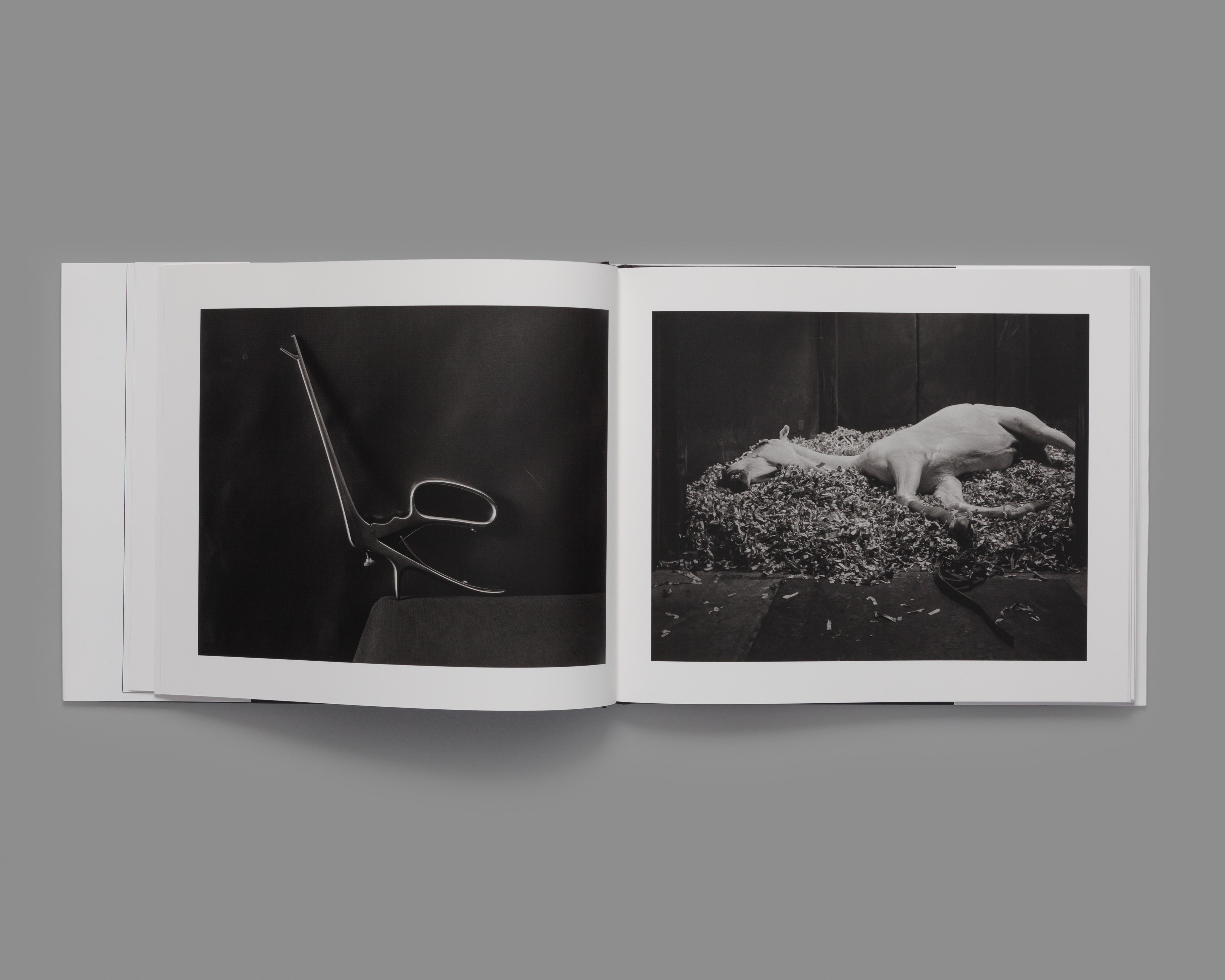 Theatrum Equorum - Special Edition / Andrea Modica