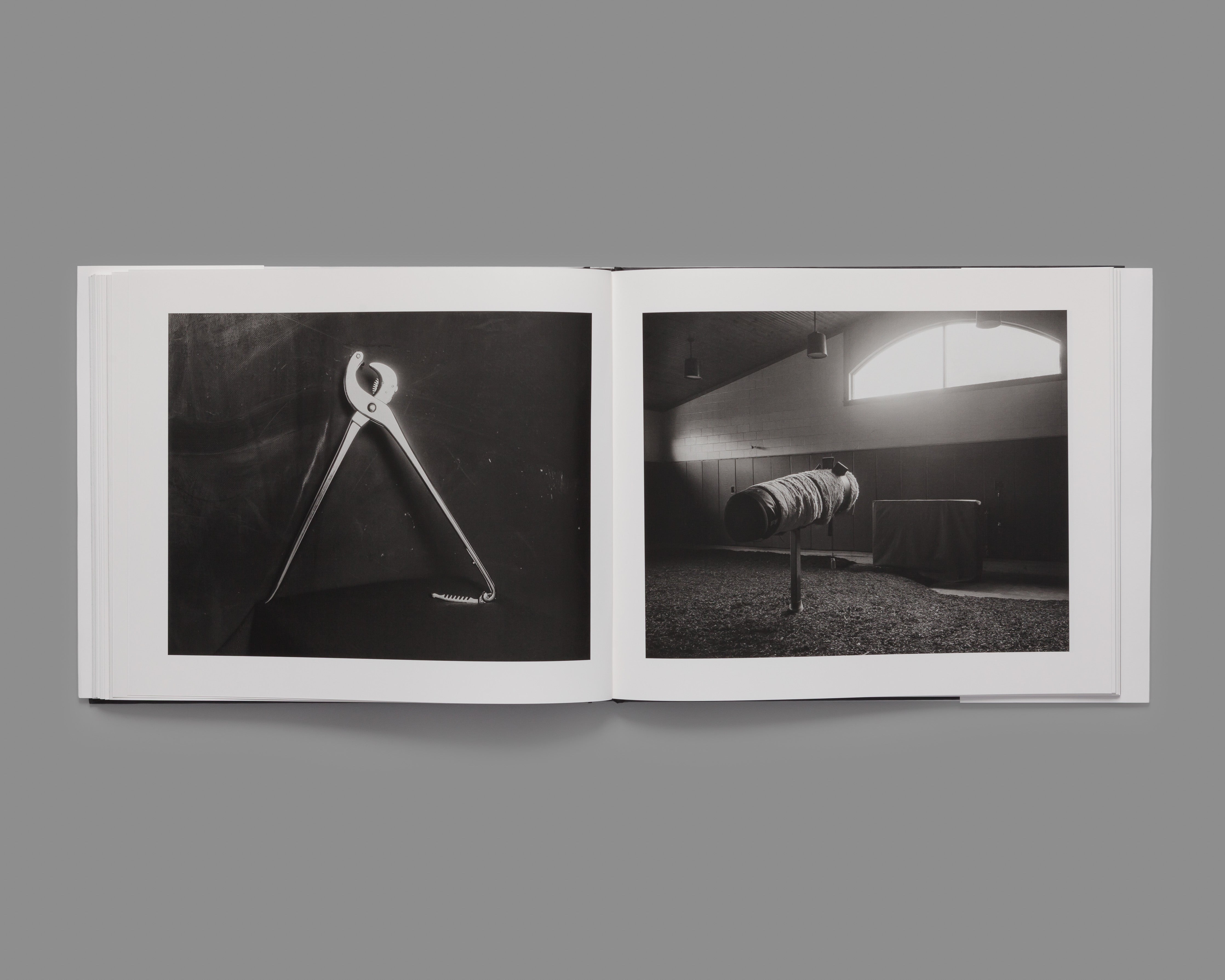 Theatrum Equorum - Special Edition / Andrea Modica