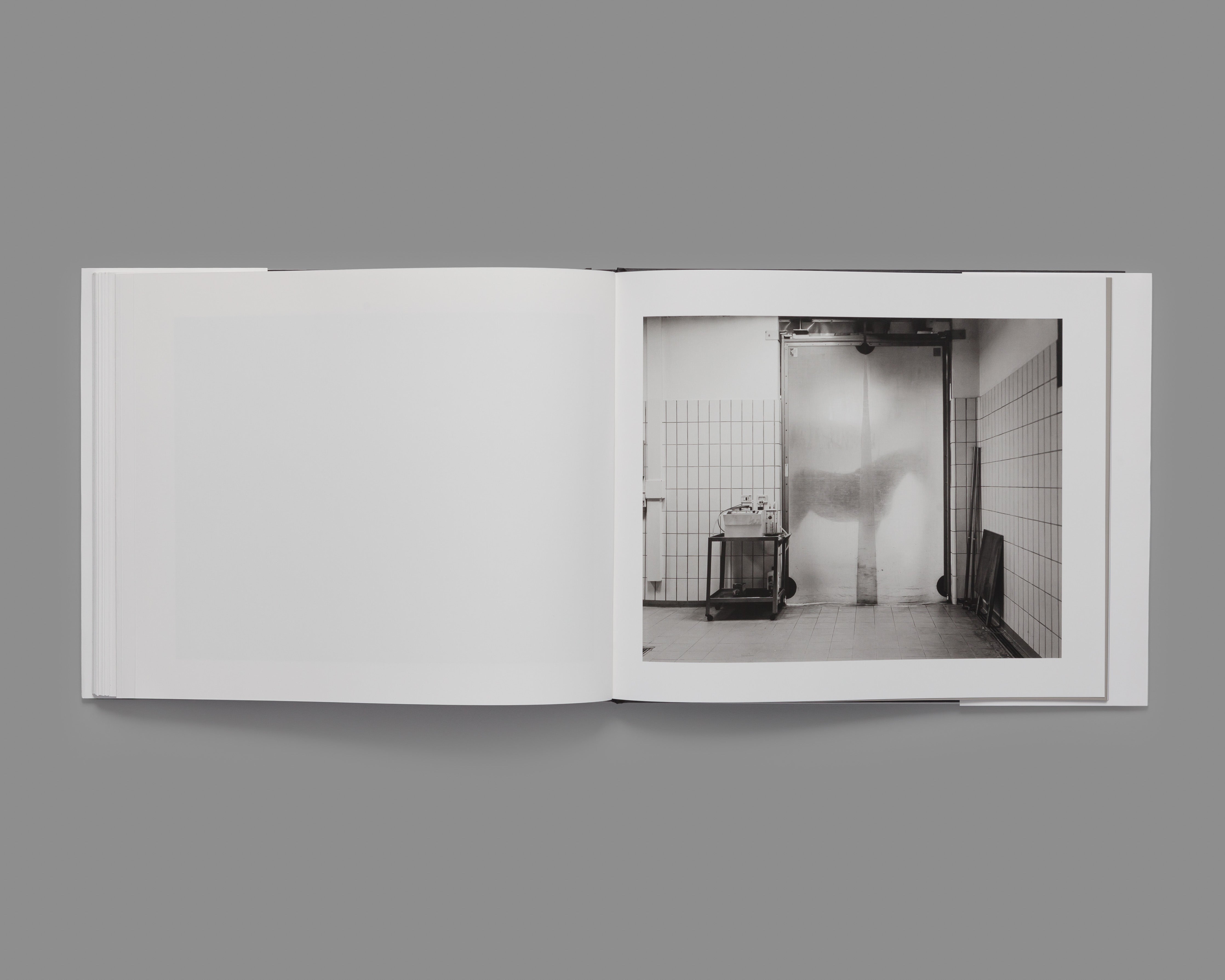 Theatrum Equorum - Special Edition / Andrea Modica
