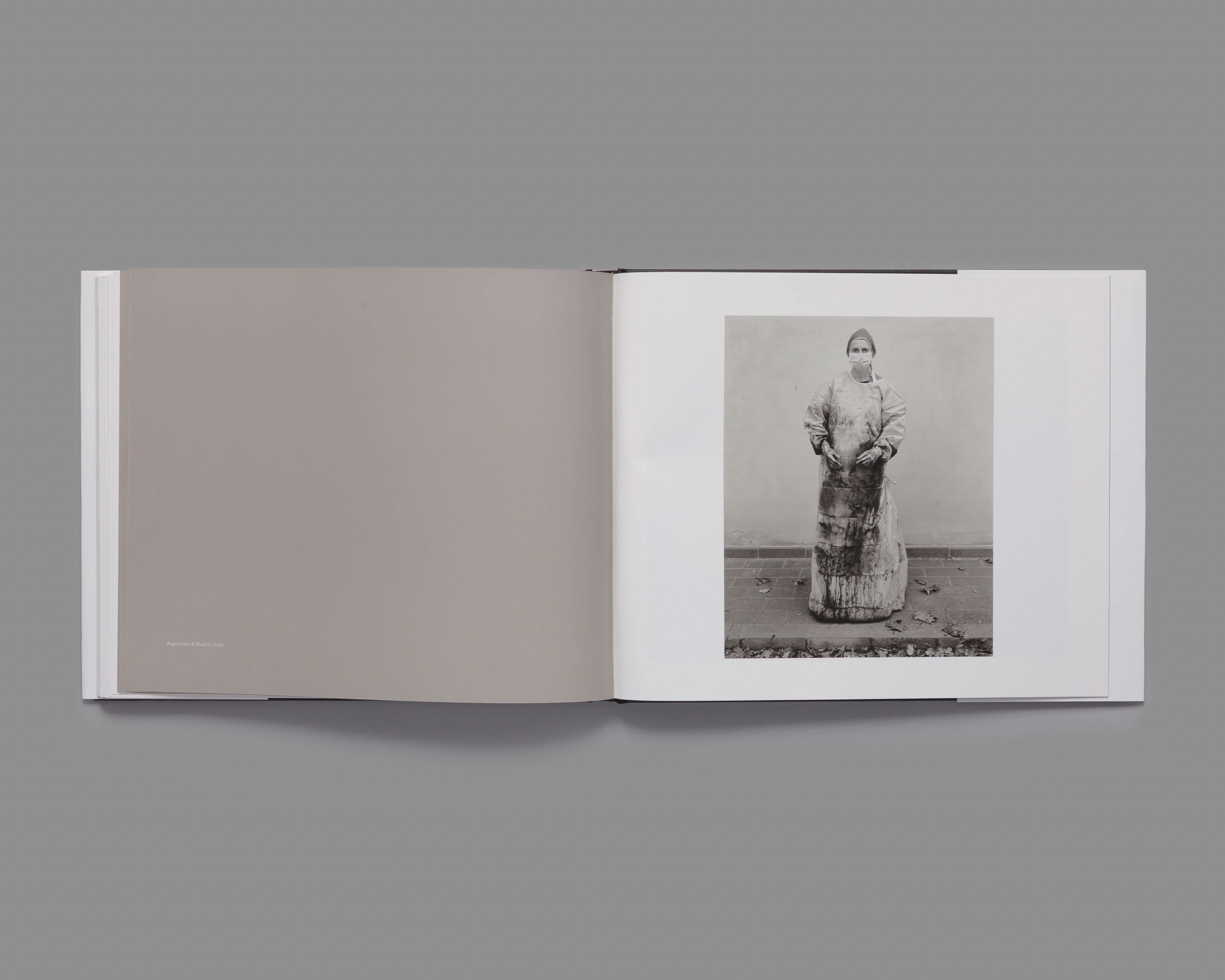 Theatrum Equorum - Special Edition / Andrea Modica
