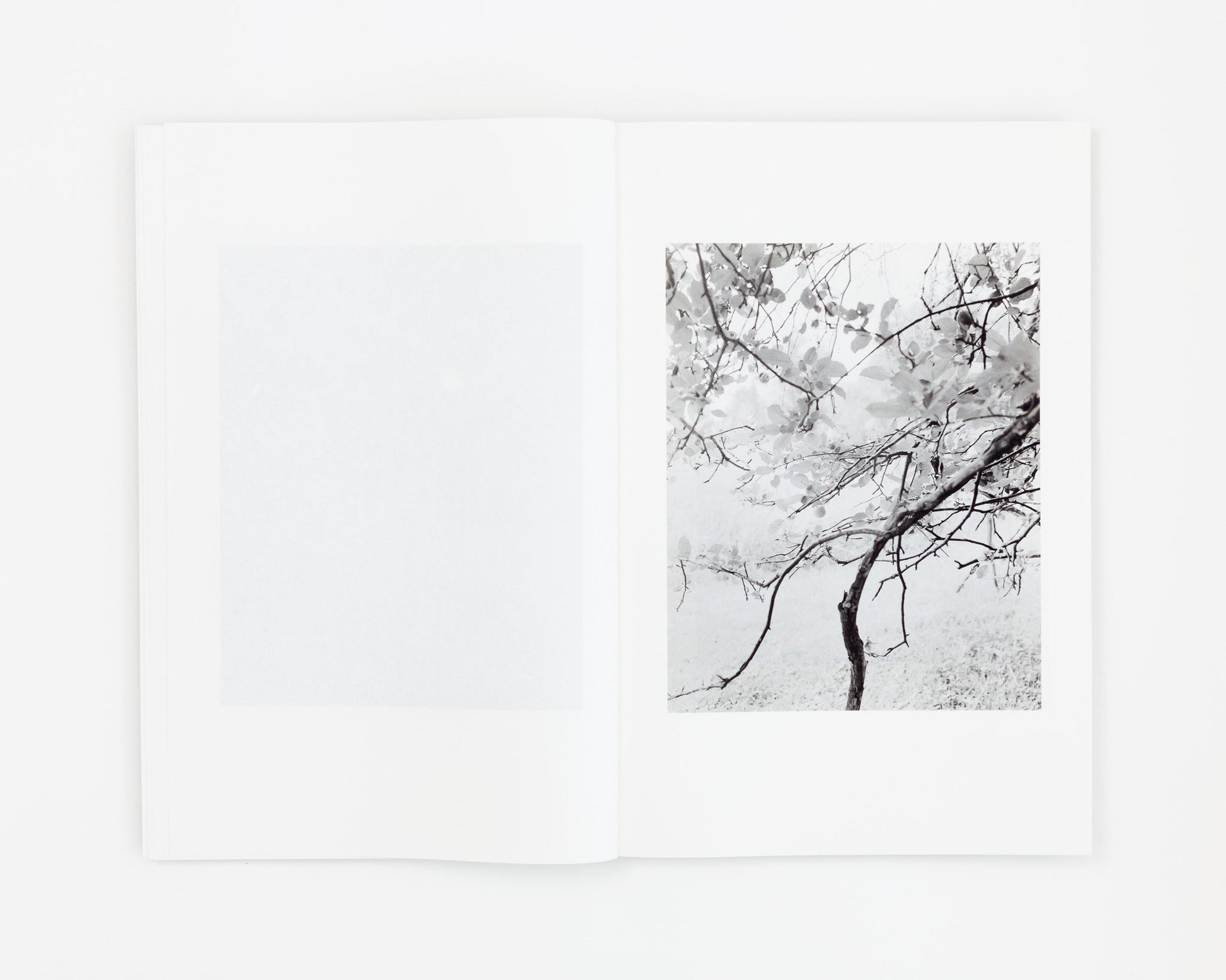 Jenia Fridlyand: Entrance to Our Valley
