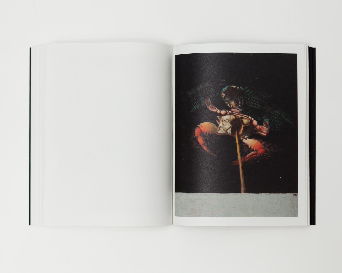 The Stick / Justine Kurland, Bruce Kurland, poems by Lisa Jarnot